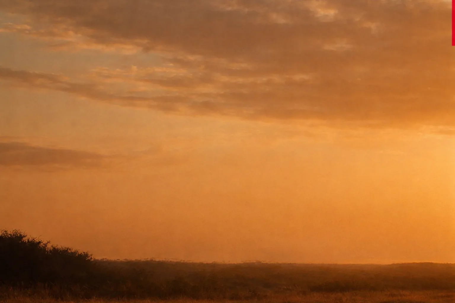 ¿Y si la felicidad no fuera un estado... sino una habilidad que puedes entrenar?
